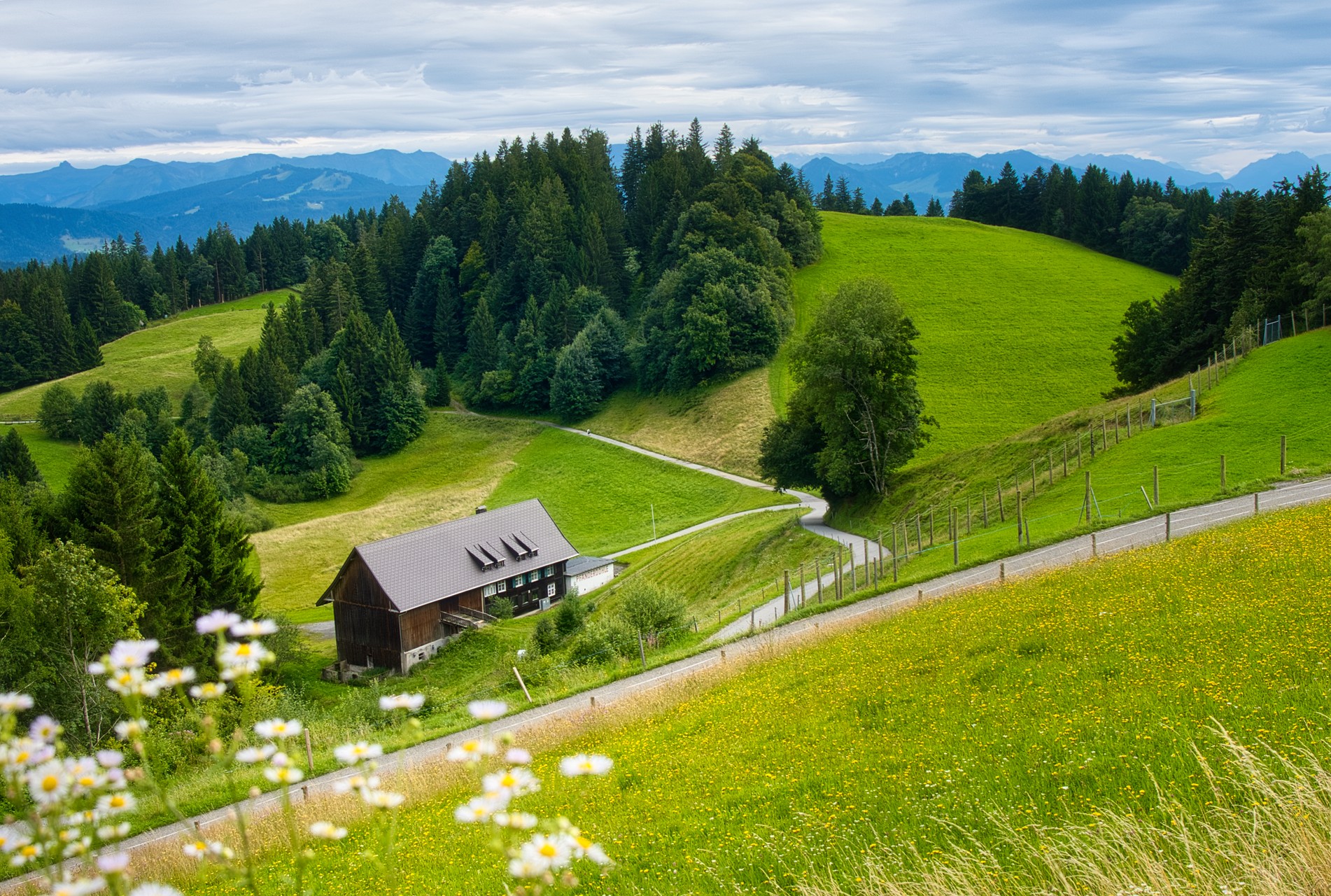 Bodensee vom Pfänder